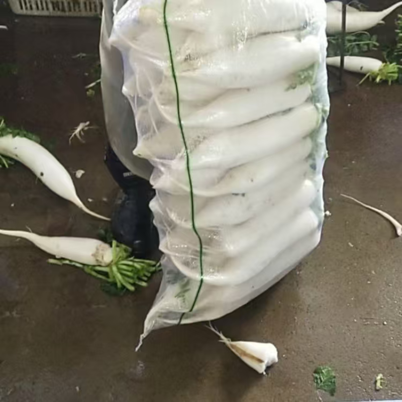 天门精品白萝卜大量上市品质保证量大从优一手货源