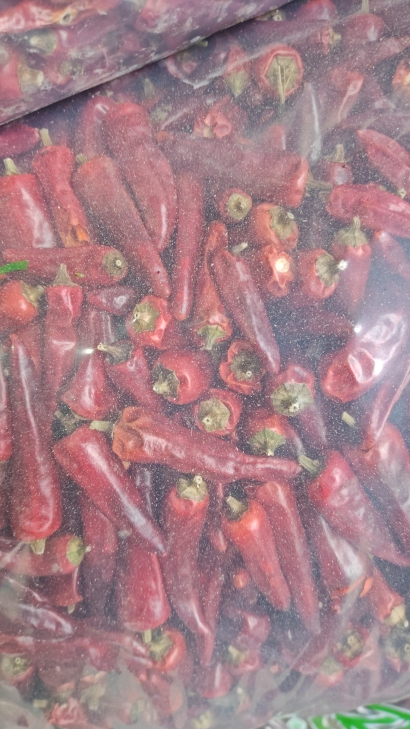 基地石柱红辣椒，干椒，高品质，高山产区。适合卤菜工厂，高