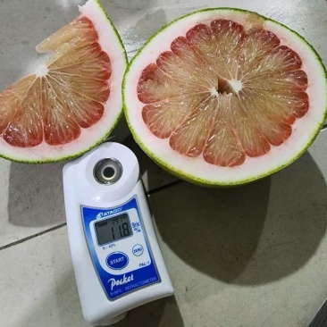 进口青柚