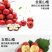 大金星山楂，做糖葫芦不化糖。无烂果，不包邮，运费到付