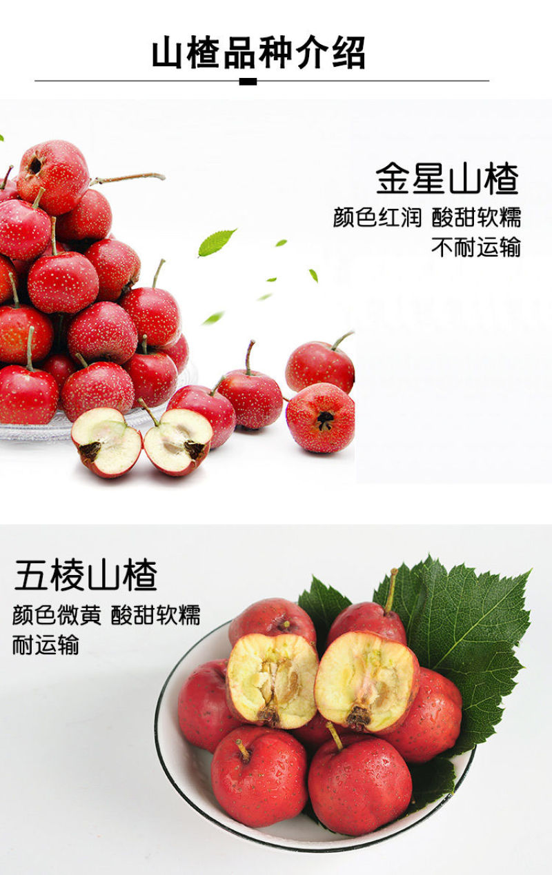 大金星山楂，做糖葫芦不化糖。无烂果，不包邮，运费到付