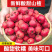 大金星山楂，做糖葫芦不化糖。无烂果，不包邮，运费到付