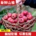 大金星山楂，做糖葫芦不化糖。无烂果，不包邮，运费到付