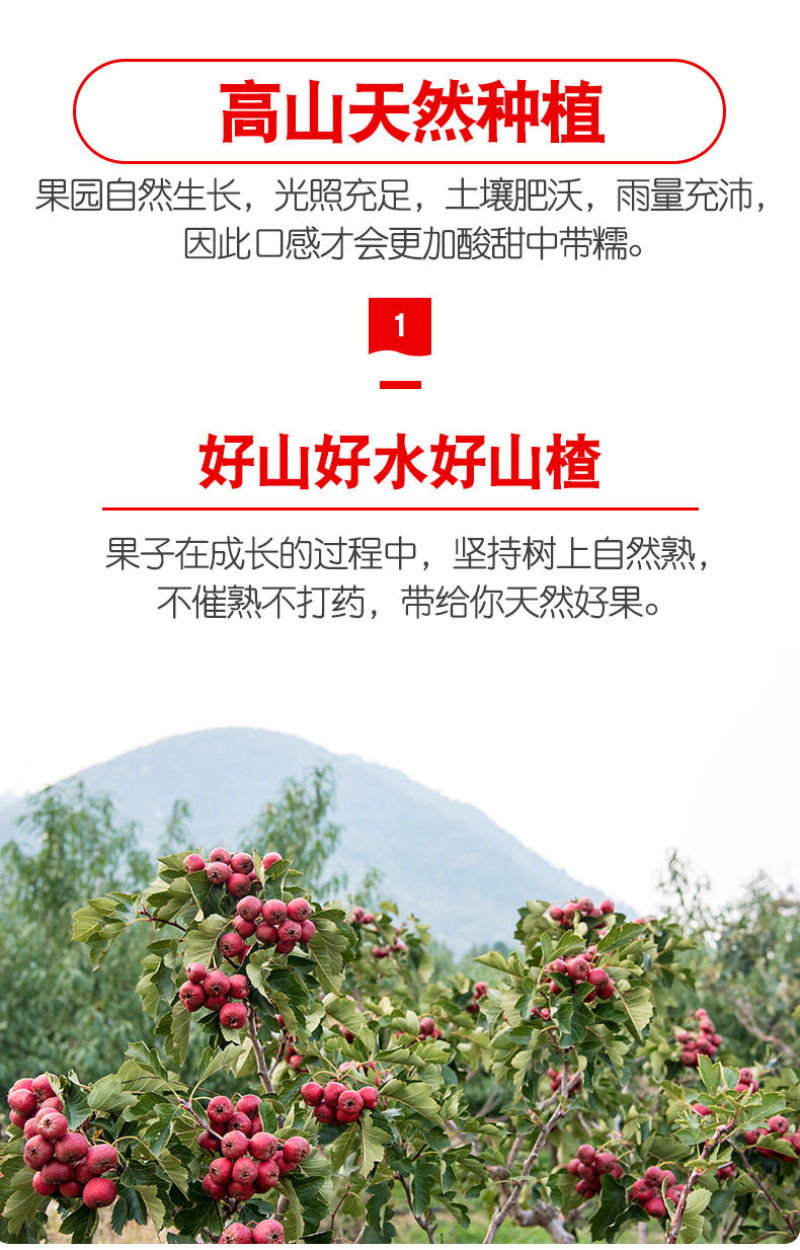大金星山楂，做糖葫芦不化糖。无烂果，不包邮，运费到付