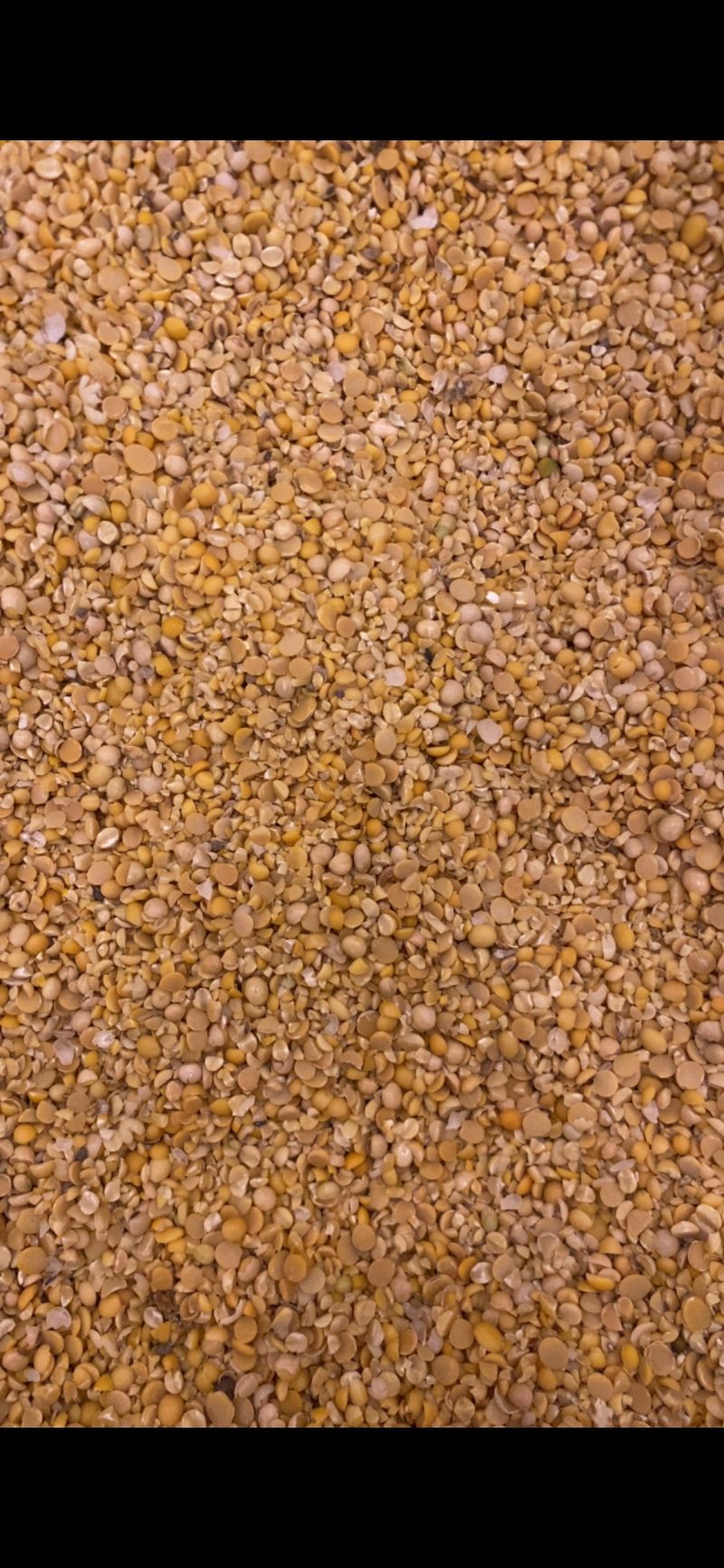 碎豆瓣上地施肥牛羊饲料水产养殖