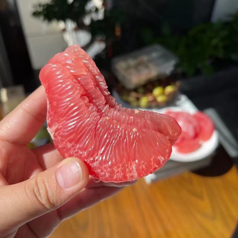 红心柚大量上市一手货源品质保证欢迎来电洽谈诚信