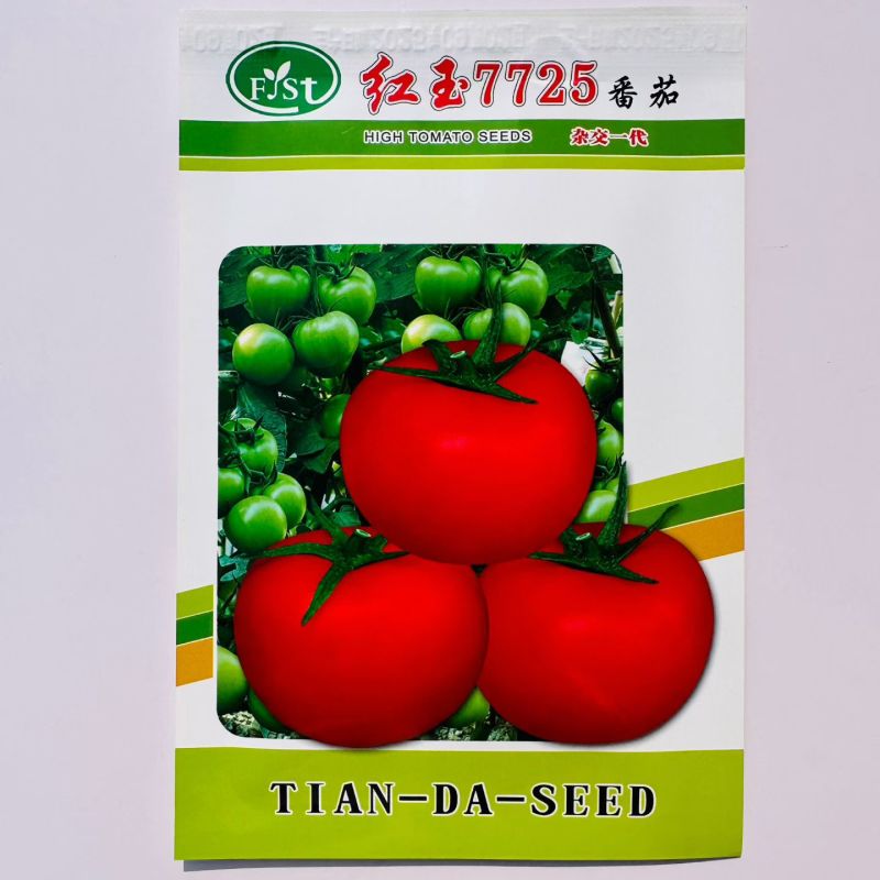 红玉7725大红果西红柿种籽硬果番茄种子耐裂近苹果形番茄