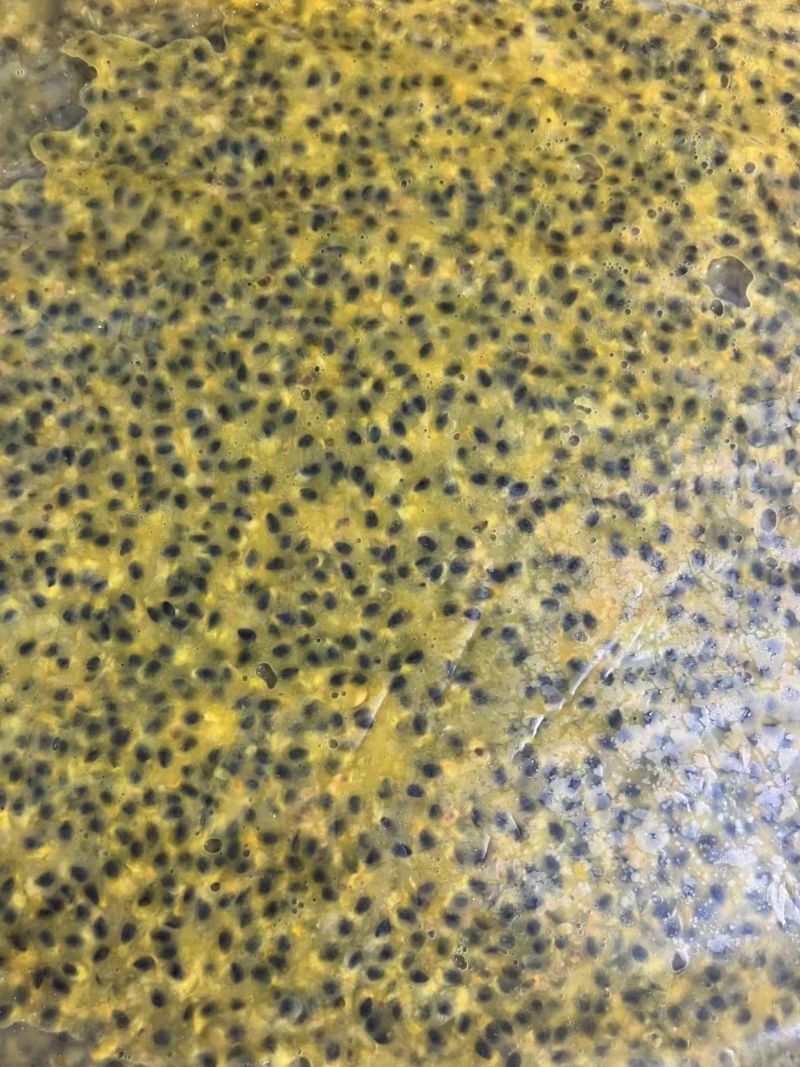 百香果原浆