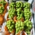 产地阳光玫瑰，海量货源要的请联系我，全国发货。