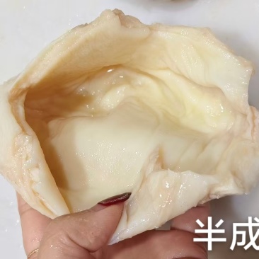 半成品尿泡（牛小肚）