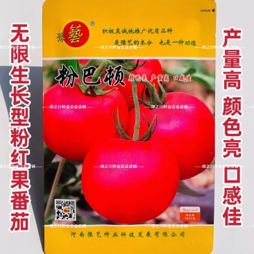 豫艺番茄种子粉巴顿粉红果番茄种籽硬果西红柿种子产量高