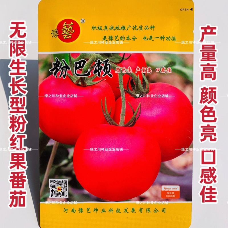 豫艺番茄种子粉巴顿粉红果番茄种籽硬果西红柿种子产量高