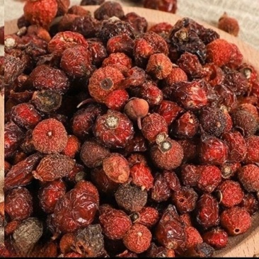 玫瑰果蔷薇果