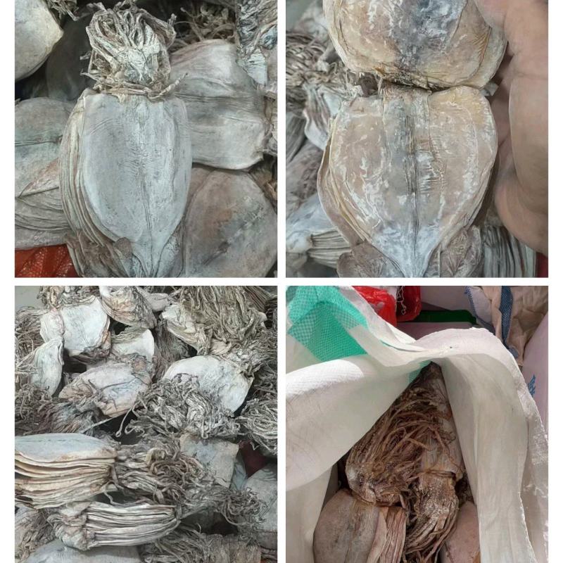 鱿鱼干水发鱿鱼