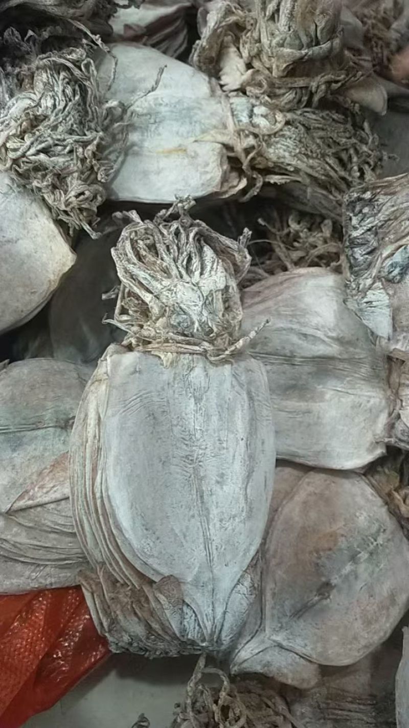鱿鱼干水发鱿鱼
