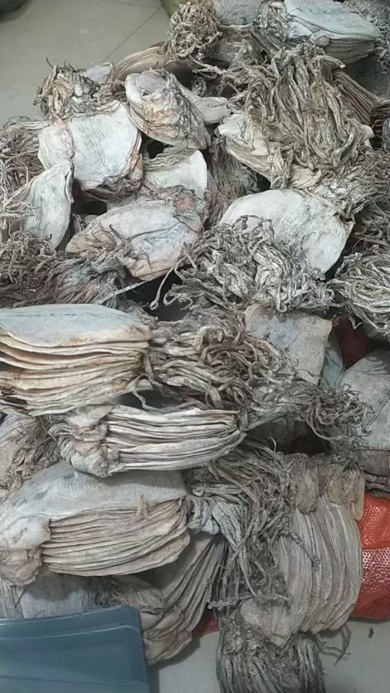 鱿鱼干水发鱿鱼