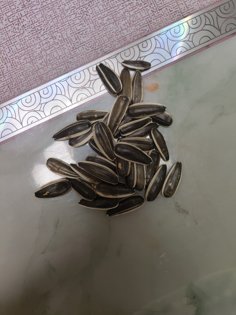 生葵花籽