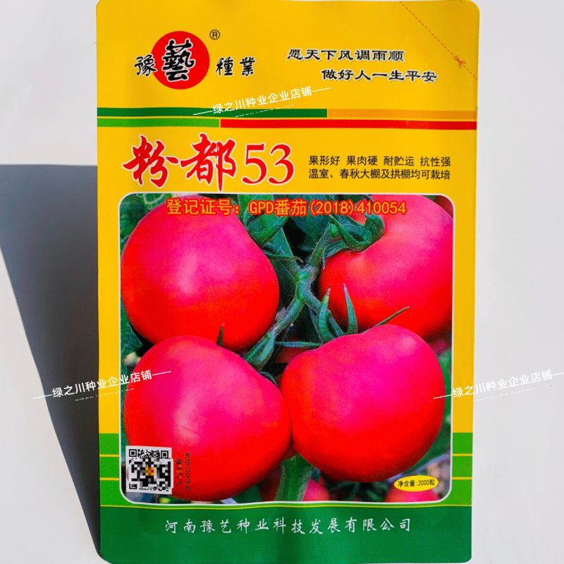 粉都53番茄种子豫艺无限生长型耐寒大果西红柿种子粉果番茄