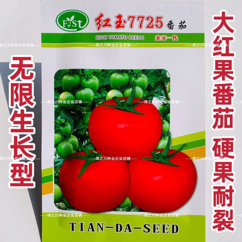 福斯特种苗番茄种子红玉7725大红果西红柿种籽苹果形硬果