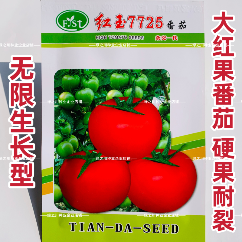 福斯特种苗番茄种子红玉7725大红果西红柿种籽苹果形硬果