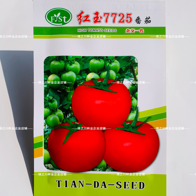 福斯特种苗番茄种子红玉7725大红果西红柿种籽苹果形硬果