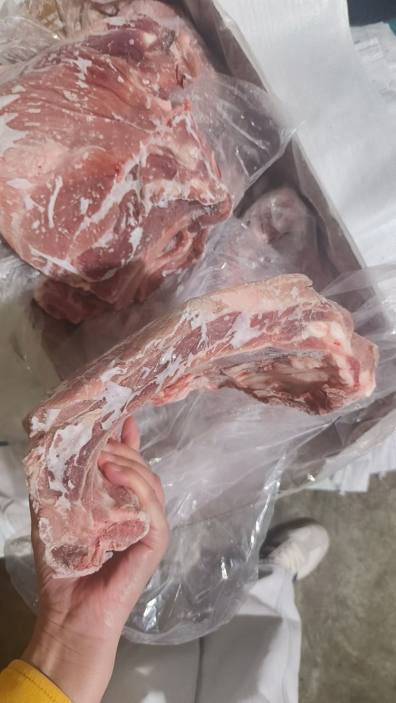 肥猪去颈去翅前排5-8片