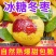 山东沾化冬枣，大量现货，对接各大电商平台社区团购