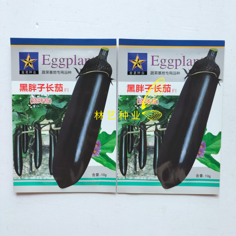 黑胖子长茄早熟甜糯烧烤茄子种子皮薄紫黑色甜糯四季蔬菜长茄