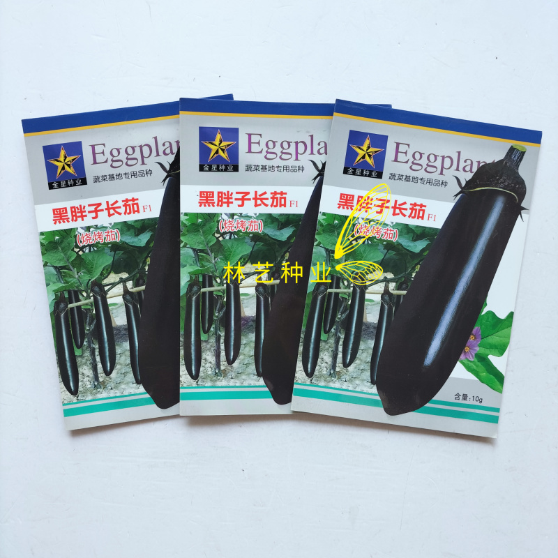 黑胖子长茄早熟甜糯烧烤茄子种子皮薄紫黑色甜糯四季蔬菜长茄