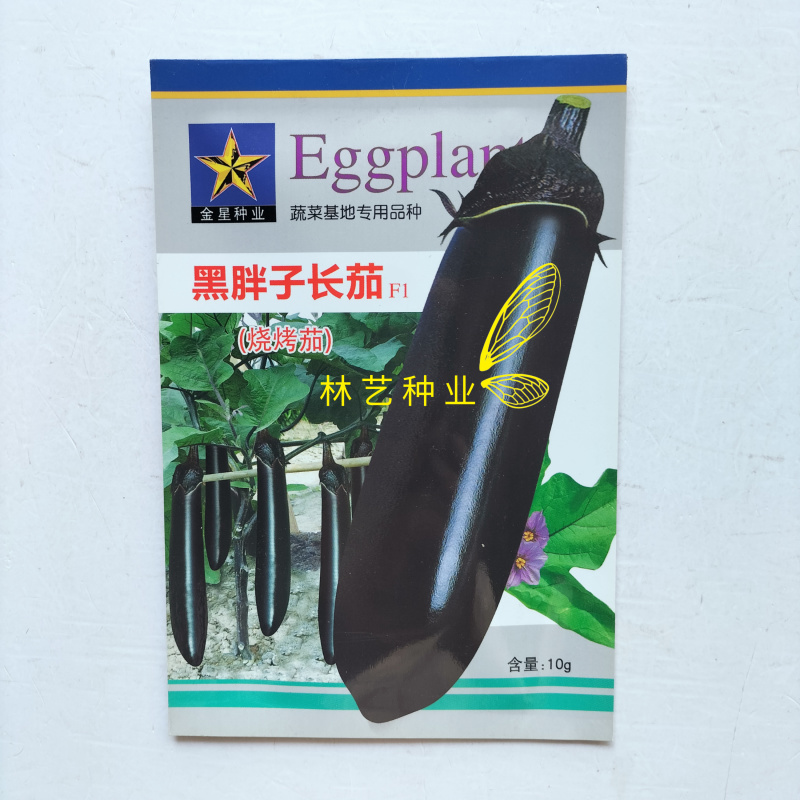 黑胖子长茄早熟甜糯烧烤茄子种子皮薄紫黑色甜糯四季蔬菜长茄