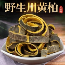 黄柏四川野生带皮黄柏黄柏丝自然晾干无硫熏