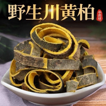 黄柏四川野生带皮黄柏黄柏丝自然晾干无硫熏