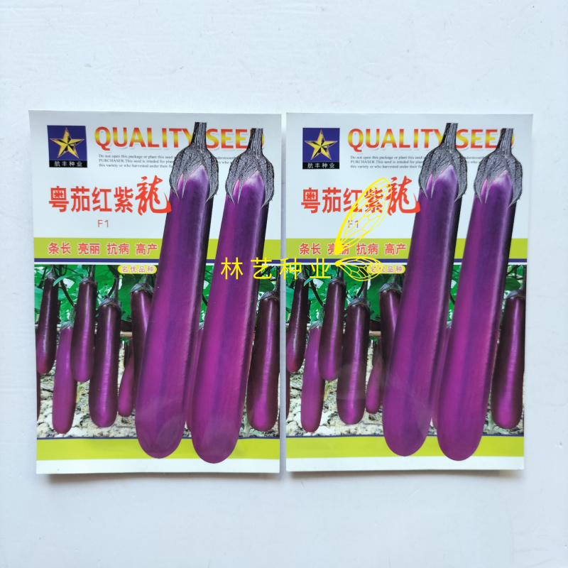 粤茄红紫龙紫红长茄种子优质早熟高产抗病农家春秋播种
