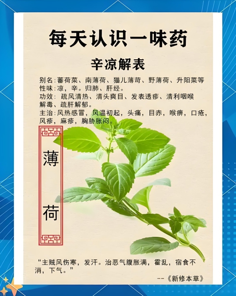 薄荷油