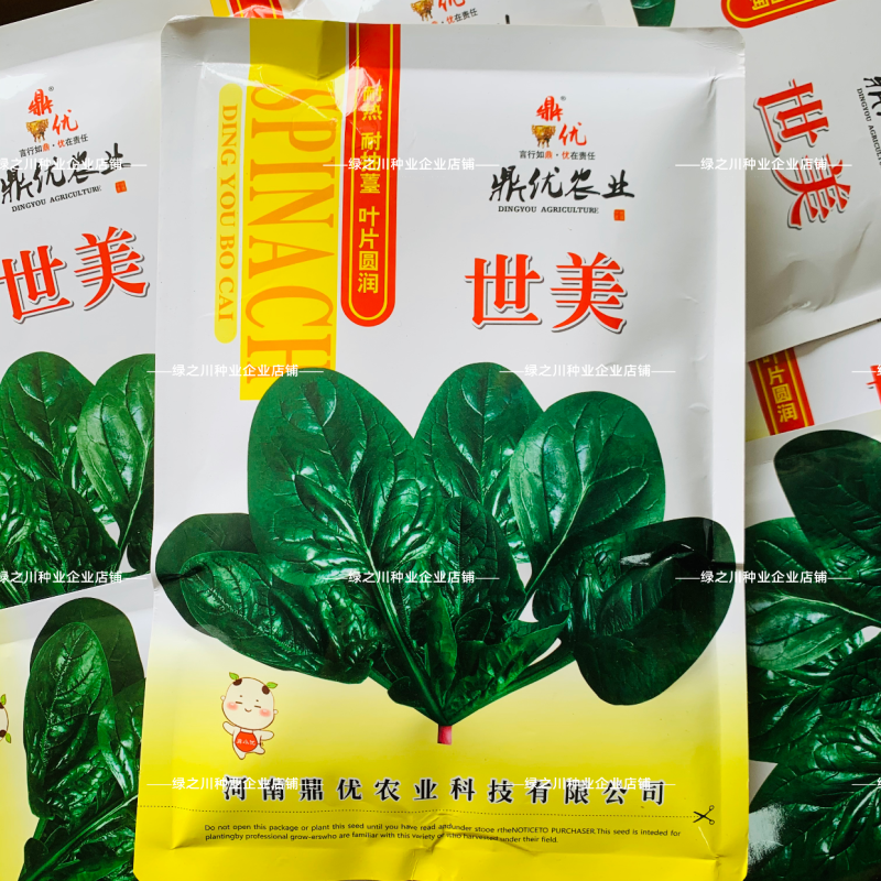 世美菠菜丹麦纯进口菠菜种子厚叶黑圆叶趴地菠菜种子耐热耐寒