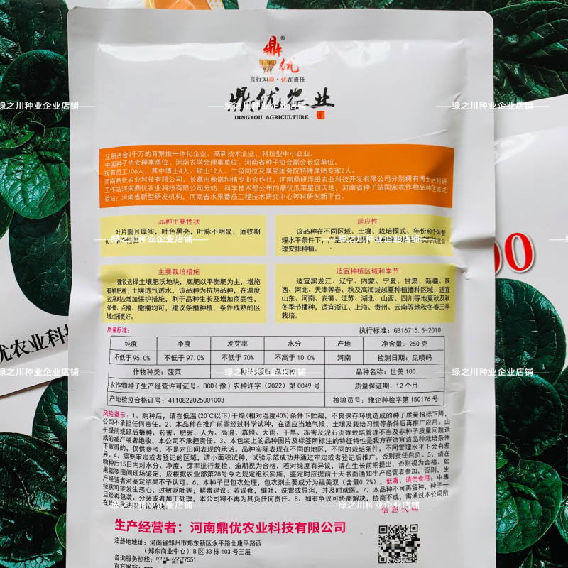 世美100趴地菠菜种子丹麦进口杂交黑亮厚圆叶趴地菠菜种子