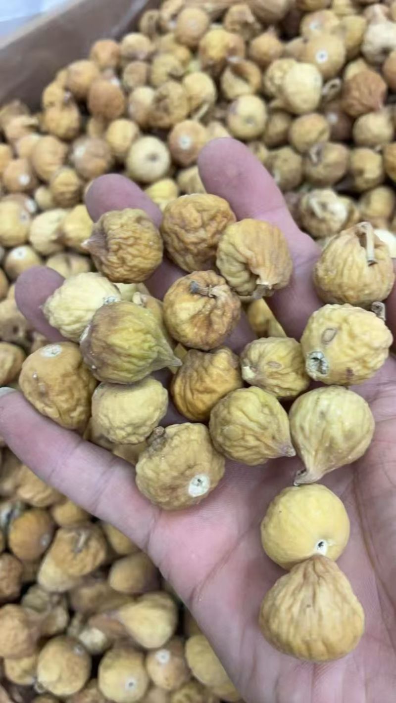新疆无花果，土耳其进口品质无花批发，全国发货，量大私聊！