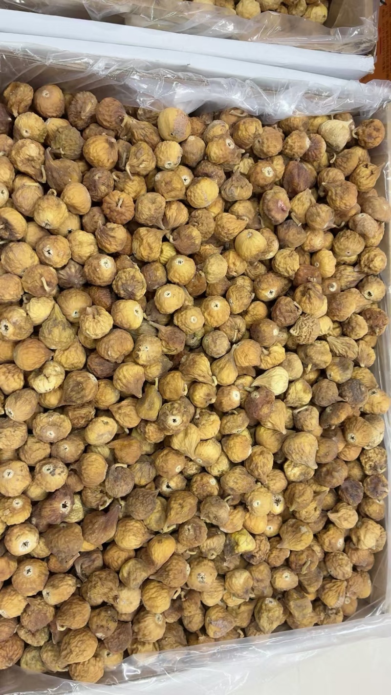 新疆无花果，土耳其进口品质无花批发，全国发货，量大私聊！