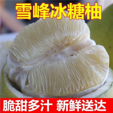 雪峰冰糖柚产地直供可供商超电商批发市场档口支持视频看货