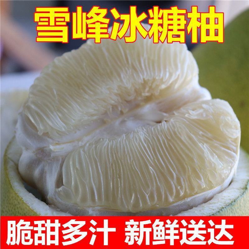 雪峰冰糖柚产地直供可供商超电商批发市场档口支持视频看货