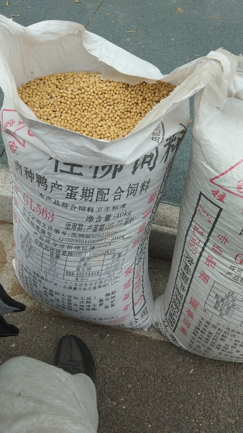 黄豆，水分9，蛋白48，皮毛油亮干净，货原充足，长年有货