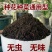 云南怒江森林腐植土