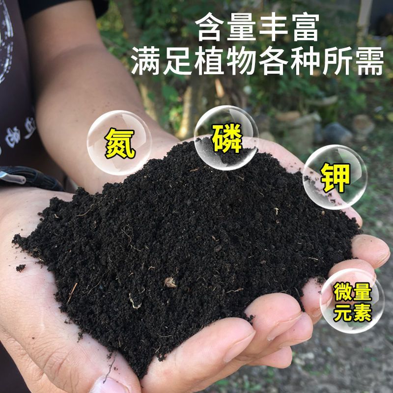 云南怒江森林腐植土