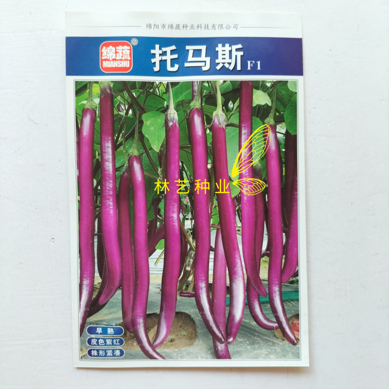 托马斯茄子种子早熟细长型紫红长茄种籽春秋播长线茄杭茄种子