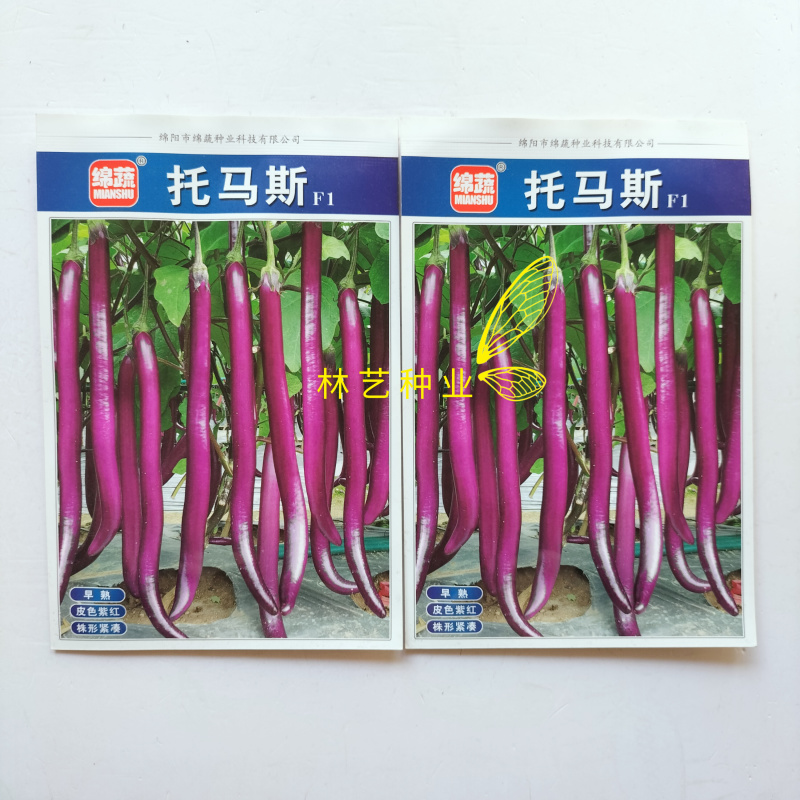 托马斯茄子种子早熟细长型紫红长茄种籽春秋播长线茄杭茄种子