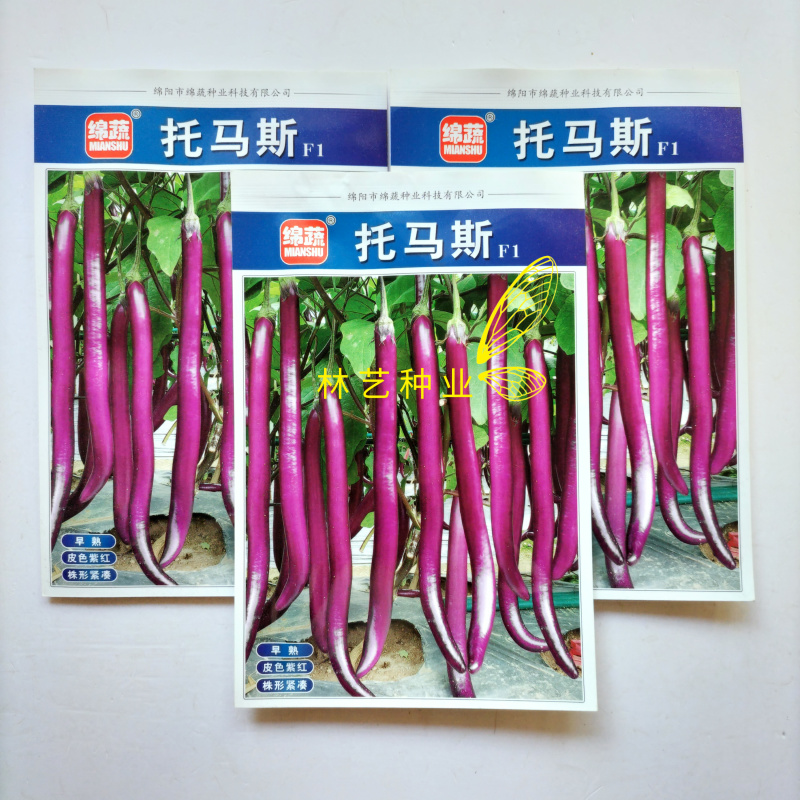 托马斯茄子种子早熟细长型紫红长茄种籽春秋播长线茄杭茄种子