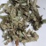 淫羊藿甘肃统货批发洋火叶仙灵脾甘肃产统货