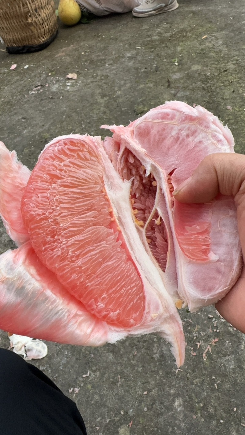 三红柚子皮溥多汁果面干净欢迎新老客户前来选购