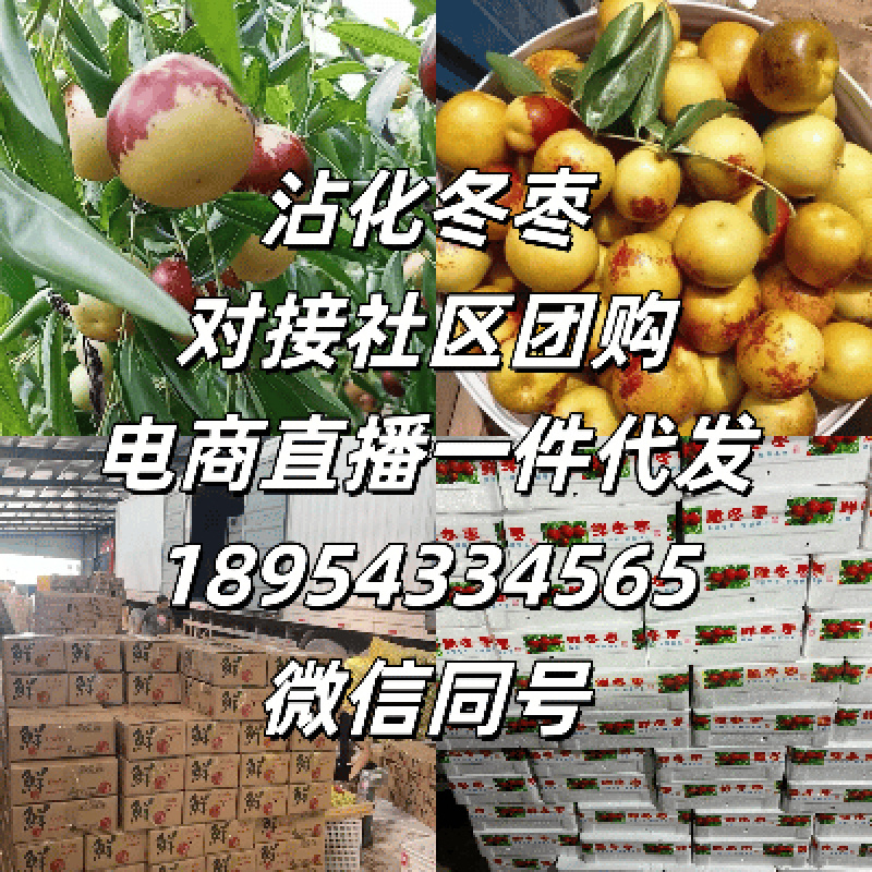 冬枣，鲜枣对接多多美团社区团购，电商平台一件代发