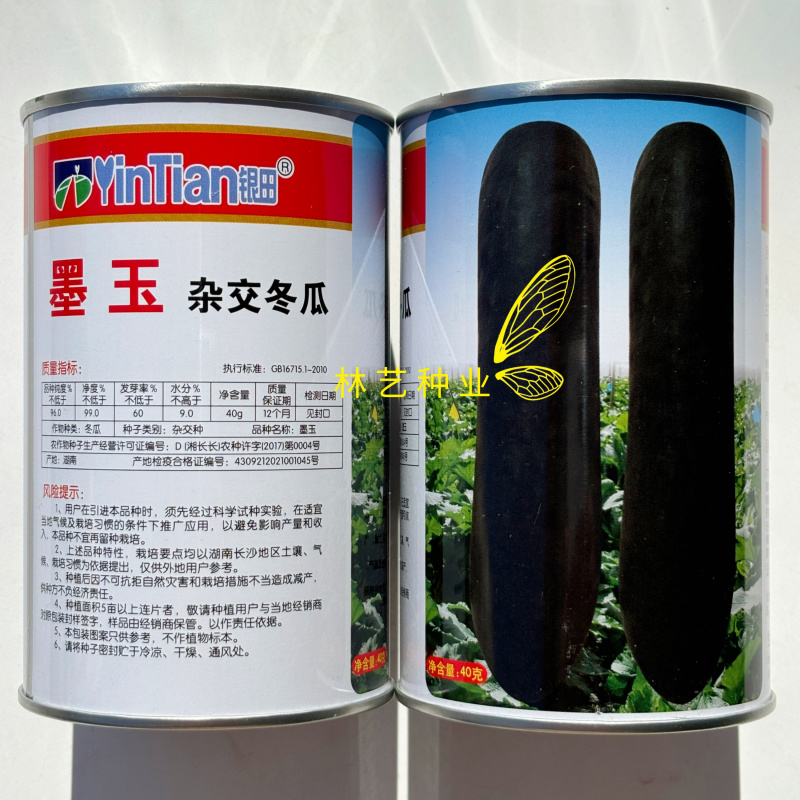 银田墨玉杂交大冬瓜种子墨绿厚肉大果高产抗病耐贮运